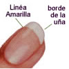 Uñas sanas